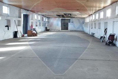 Spațiu industrial/hala de  vanzare - Piatra Neamt - 6