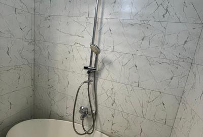 Piata Victoriei  Iancu de Hunedoara - 17