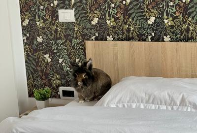Unirii / Calea Victoriei: Sleek Large Apartment – 105 m² SU | AN541-11F - 34