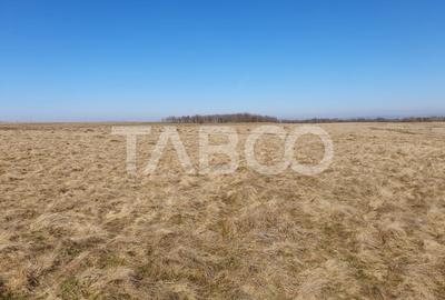 Teren de vanzare in zaona extravilanului comunei Recea 600 mp - 1