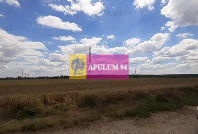 Teren 715mp în Snagov lângă Equestria - 10