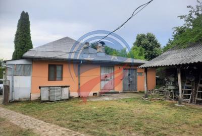 Casa de vanzare/Balcesti/Valcea/Str Pietii - 17