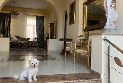 Ultracentral,vila S+P+E,faleza Dunarii,langa parc,Primaria Corabia,teren=1137mp - 21