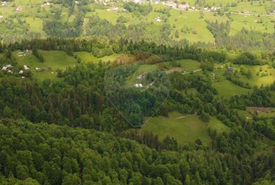 6,2 ha + business turistic activ | Munții Apuseni - 5