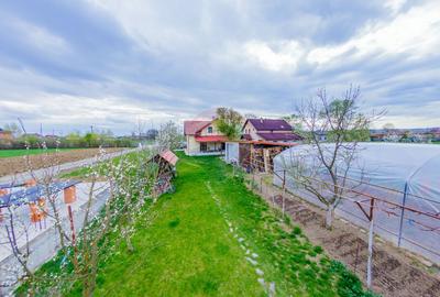CASA DE VIS DE VANZARE IN COLTIREA cu 2900 mp teren - 39