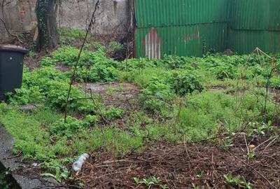 Noblețe Arhitecturală și Oază Verde: O Moștenire Vie cu Grădină Privată - 3