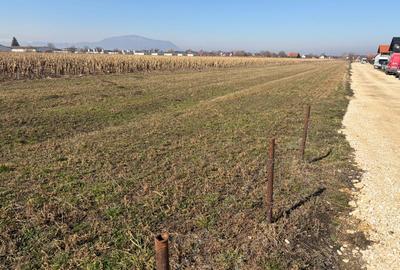 S.C Vimak Imobiliare vinde teren intravilan Stupini. - 2