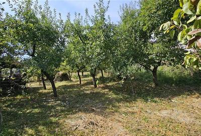 Casa individuala+anexe SU-290mp, teren 2000mp, Zimbor-nod Autostrada - 20