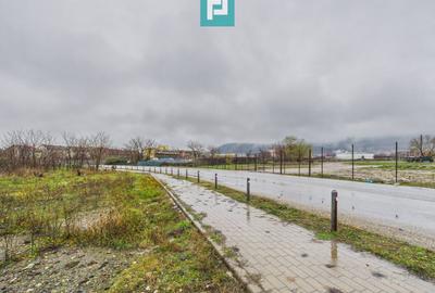 Teren intravilan de 4131 mp, în orașul Sebiș, Arad - 11