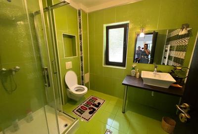 Vila de inchiriat in zona Ghiroda - 21