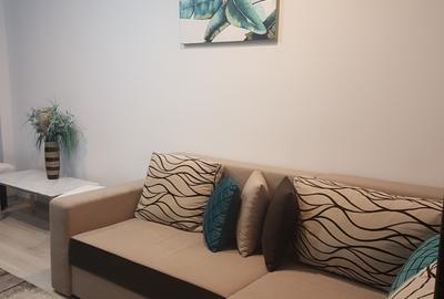 Apartament doua camere, decomandat, mobilat si utilat frumos, Parcul Catedralei - 6