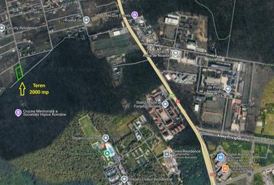 2000 mp pe Liziera Padurii Baneasa - 3