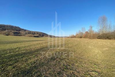 Teren de 7.500 mp de vânzare în Bradu, Avrig-COMISION 0% – lângă râul Olt. - 4