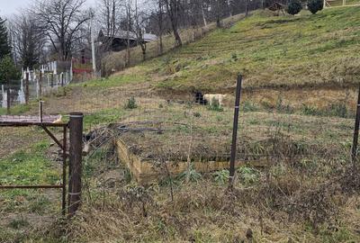 Teren construibil (intravilan) de vanzare, strada Viei nr. 30 - 2