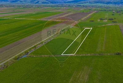 Teren EXTRAVILAN | 4,000mp Stupinii Prejmerului | COMISION 0% - 5