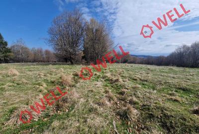 De vânzare teren extravilan în localitatea Brădet! - 7