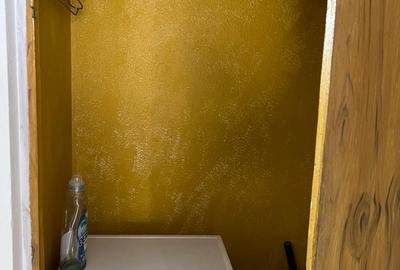 Inchiriere apartament 2 camere - Zona Centrala, Vis-a-vis de Palatul Culturii - 18