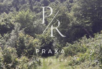 Teren de vanzare 10.000 mp/ parcelabil, cu utiitati, 4 euro/ mp! Maguri Racatau! - 15