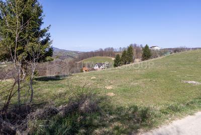 🌿 Teren Intravilan 3.791 mp | Priveliște Panoramică Superbă | Poiana Mărului - 7
