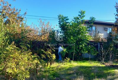 Vanzare Teren intravilan  Berceni - 5