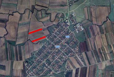 Teren agricol intravilan de 11600 mp, în Bucovăț (Remetea Mare)