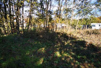 Teren Generos cu Casa in Gruiu - Snagov - 9