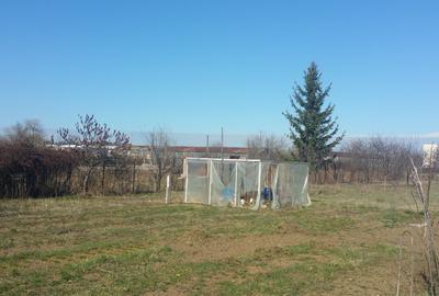 TEREN IN NOUA - INTRAVILAN CONSTRUCTIE- 900 mp  - COMISION 0% pentru cumparator - 3