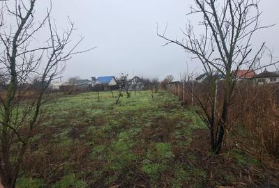 Delta Dunarii - Ilganii de Jos - casa cu deschidere la Dunare - 13