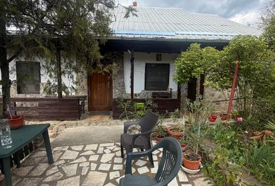 Vand casa de vacanta la 27 km de Buzau - 5