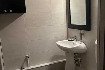 Apartament 3 camere Oltenitei Stolnici - 6
