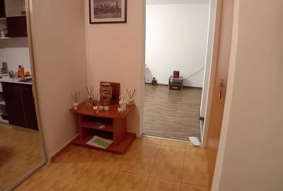 Sos Salaj Apartament 2 camere Decomandat Renovat - 10