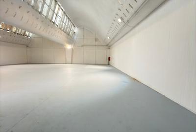 Pantelimon / Republica - Spațiu Industrial / Producție / Depozitare - 5