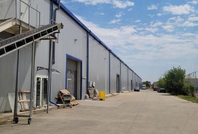 De inchiriat | Showroom 400 mp | Voluntari | - 5