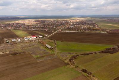Fermă cu teren intravilan de 35000 mp în Mișca - 7
