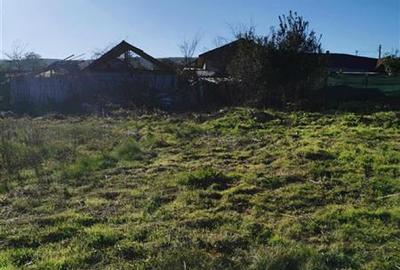 Teren Construcții intravilan de 1904 mp, în Nifon