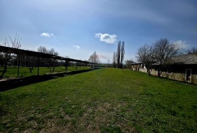 Spațiu industrial de 400mp de vânzare - 1