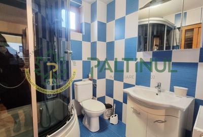 Casă P+M de vânzare – Valea Avrigului, 4 camere, teren 500 mp - 7
