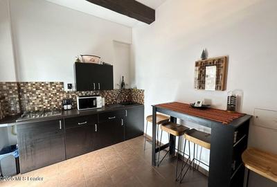 B-dul Carol I, 93 mp utili, stradal, etaj 6 din 7, amenajat, 2 bai - 7