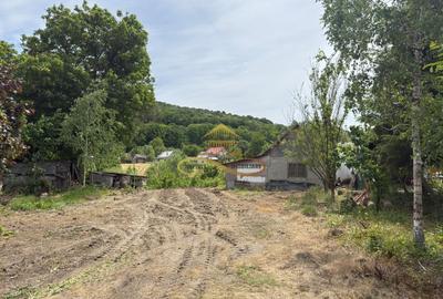 Casa cu teren intravilan 1234 mp,  Buhoci - 7