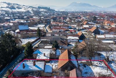 Teren de Vis în Tărlungeni cu Căsuță din Lemn – Liniștea Te Așteaptă - 3