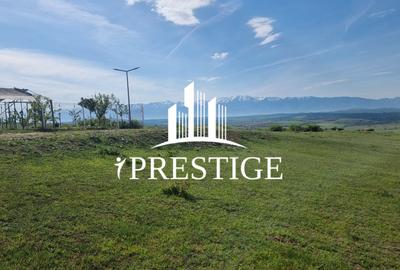 TEREN  EXTRAVILAN 2000 MP ÎN DAIA - BAVARIA | DEALUL 2 | DOAR 15€/MP - 30