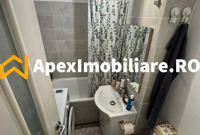Apartament 2 camere de inchiriat Lacul Tei București | ApexImobiliare.ro - 8