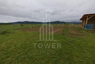 Grădină 862 mp cu cabanuta și pomi fructiferi – între Tălmaciu și Sadu - 5