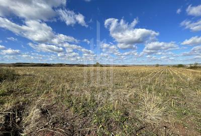 De vânzare teren intravilan – Cristian, Sibiu - 1