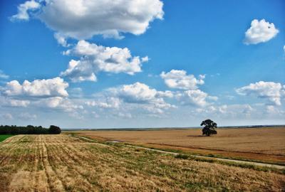 Intravilan, lipit de padure si drum judetean, zona Frumusani. Aer curat, liniste - 2