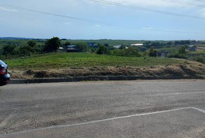 Teren la Rosiori - 2