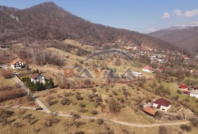 Teren intravilan 5.105 mp, Baia Sprie, la intrare pe Valea Chiuzbăii - 6