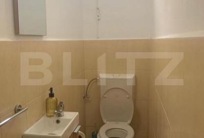 Ultracentral | Apartament ideal pentru salon, cabinet sau birou | 40+13 mp - 5