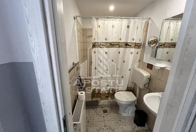 Cladire cu 10 apartamente, restaurant, zona Mehala, Timisoara.. - 14
