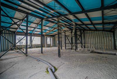 Bulevardul Mamaia - Oportunitate Unica de Investitie!! - 15